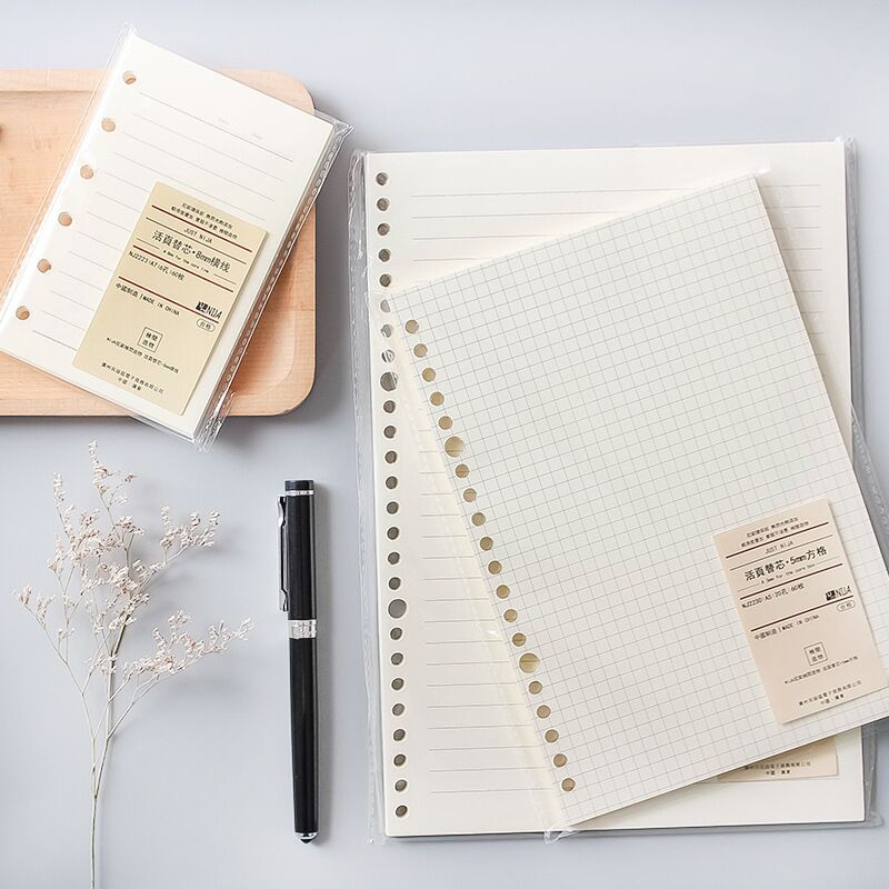 A5 B5 20 otworów wkład do note – A5 Spiral Dotted Grid Notebook recenzja i cena