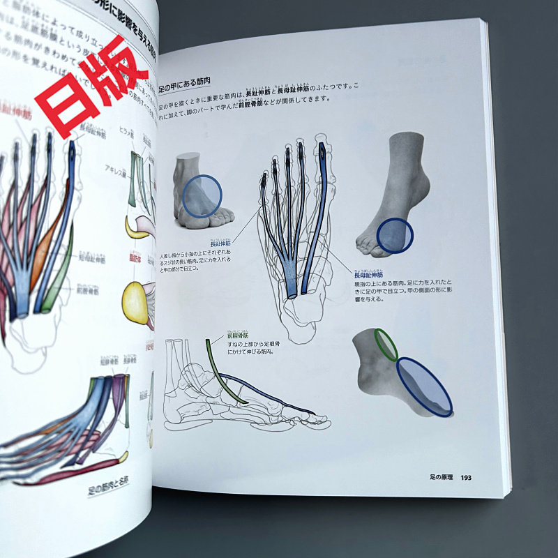 Podstawy rysowania ludzkiego c – Japanese Manga Drawing Tutorial Book recenzja i cena