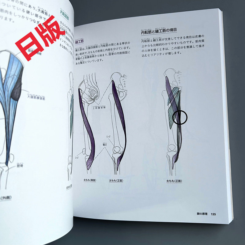 Podstawy rysowania ludzkiego c – Japanese Manga Drawing Tutorial Book recenzja i cena